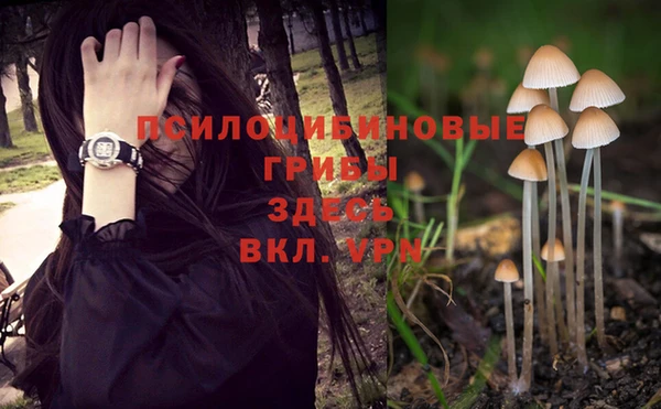 дмт Балабаново