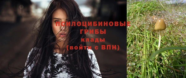 дмт Балабаново