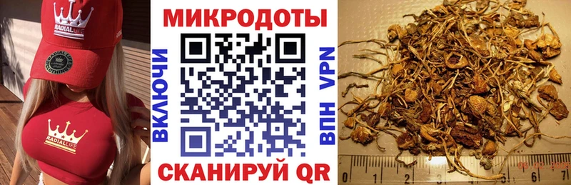 Псилоцибиновые грибы GOLDEN TEACHER  Губаха 