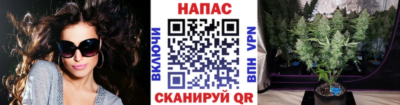 Марихуана планчик Губаха